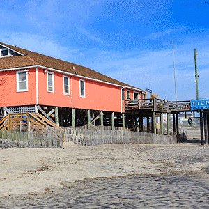 Story 3 Picture 3 Alt Text