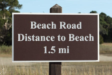 Story 1 Picture 2 Alt Text