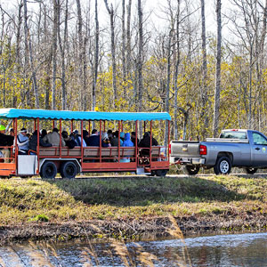 Alligator River National Wildlife Refuge